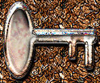 A picture of a rusty ol' key