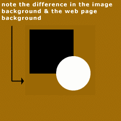 Example 1