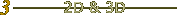 2D & 3D